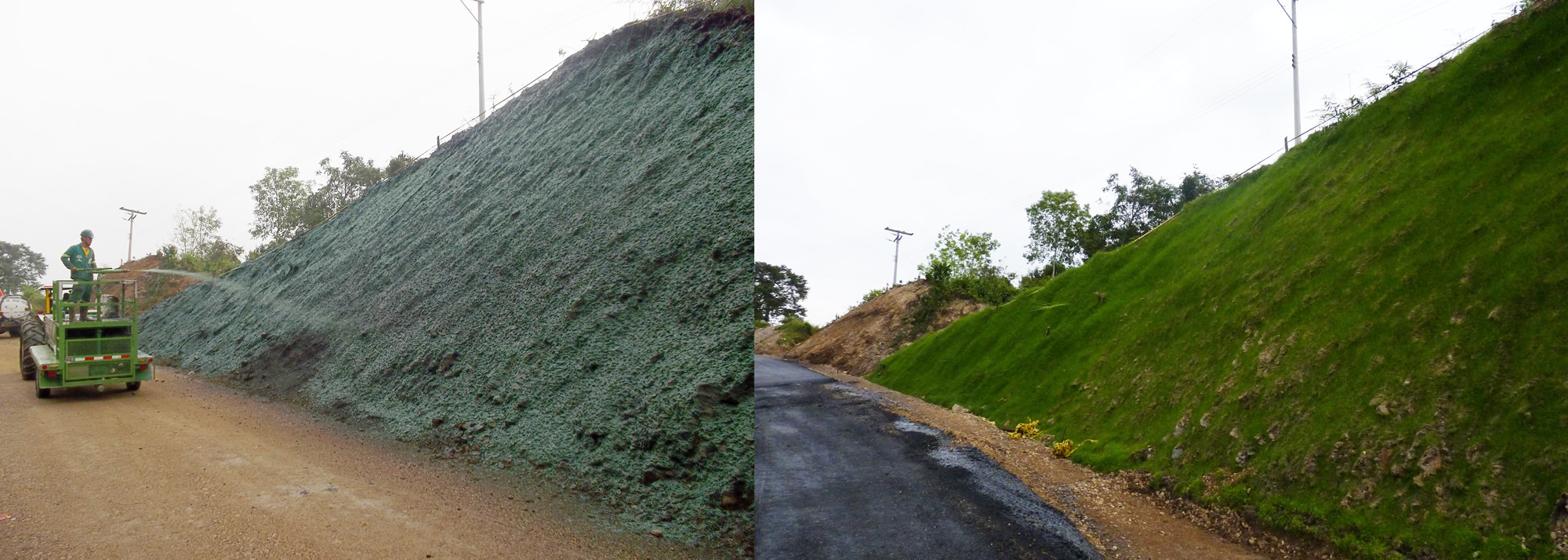 antes y despues 1.jpg